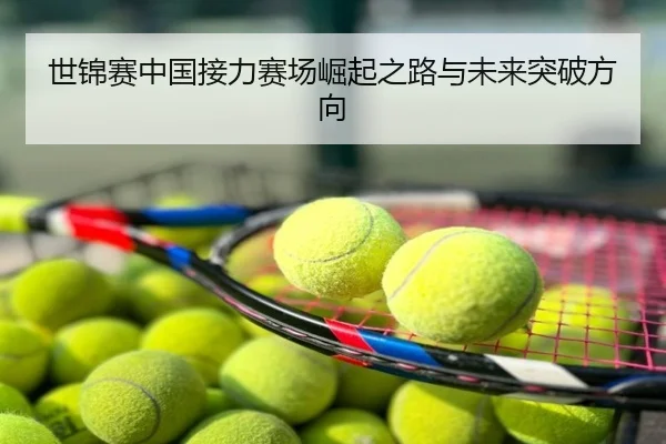 世锦赛中国接力赛场崛起之路与未来突破方向