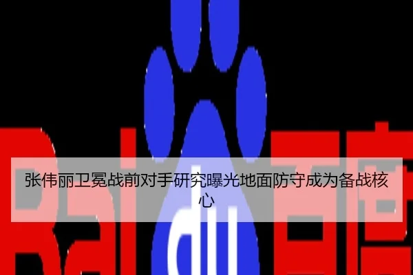 张伟丽卫冕战前对手研究曝光地面防守成为备战核心